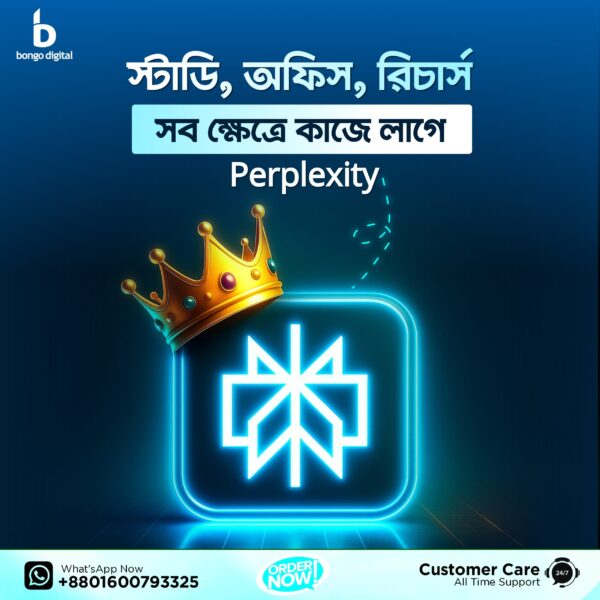 Perplexity Pro